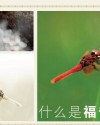 什么是福音